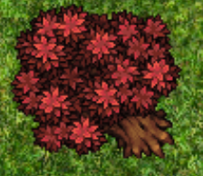 Cherry Tree