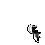 Skunk