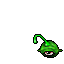 Gazer