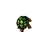 Tortoise