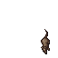 Rat