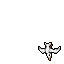 Seagull
