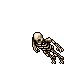 Skeleton