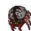 Wailing Widow