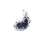 Insect Swarm