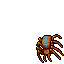 Poison Spider