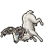White Deer