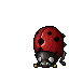 Ladybug
