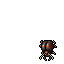 Bug