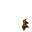Poodle