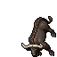 Water Buffalo