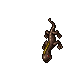 Salamander