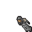 Shadow Pupil
