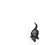 Cave Rat
