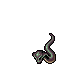 Cobra