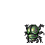Scarab